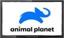 Animal Planet live stream