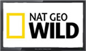Nat Geo Wild live stream