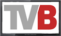 Televizija Banovici logo